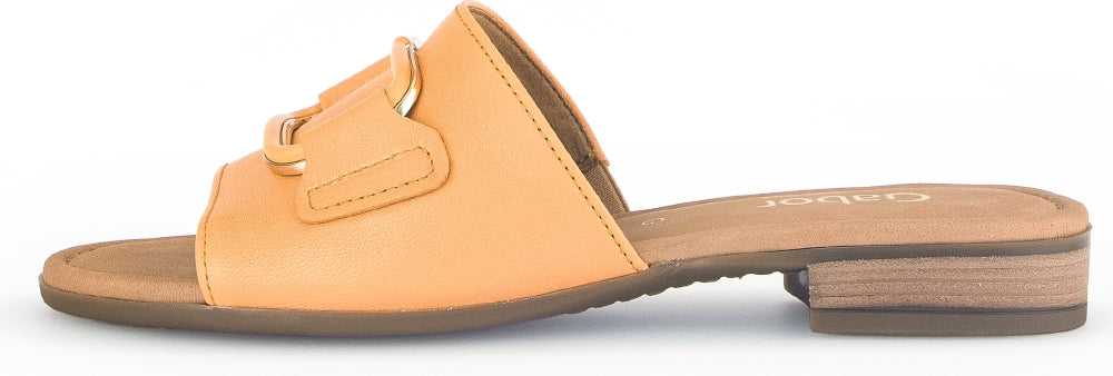 Gabor Link Detail Slide