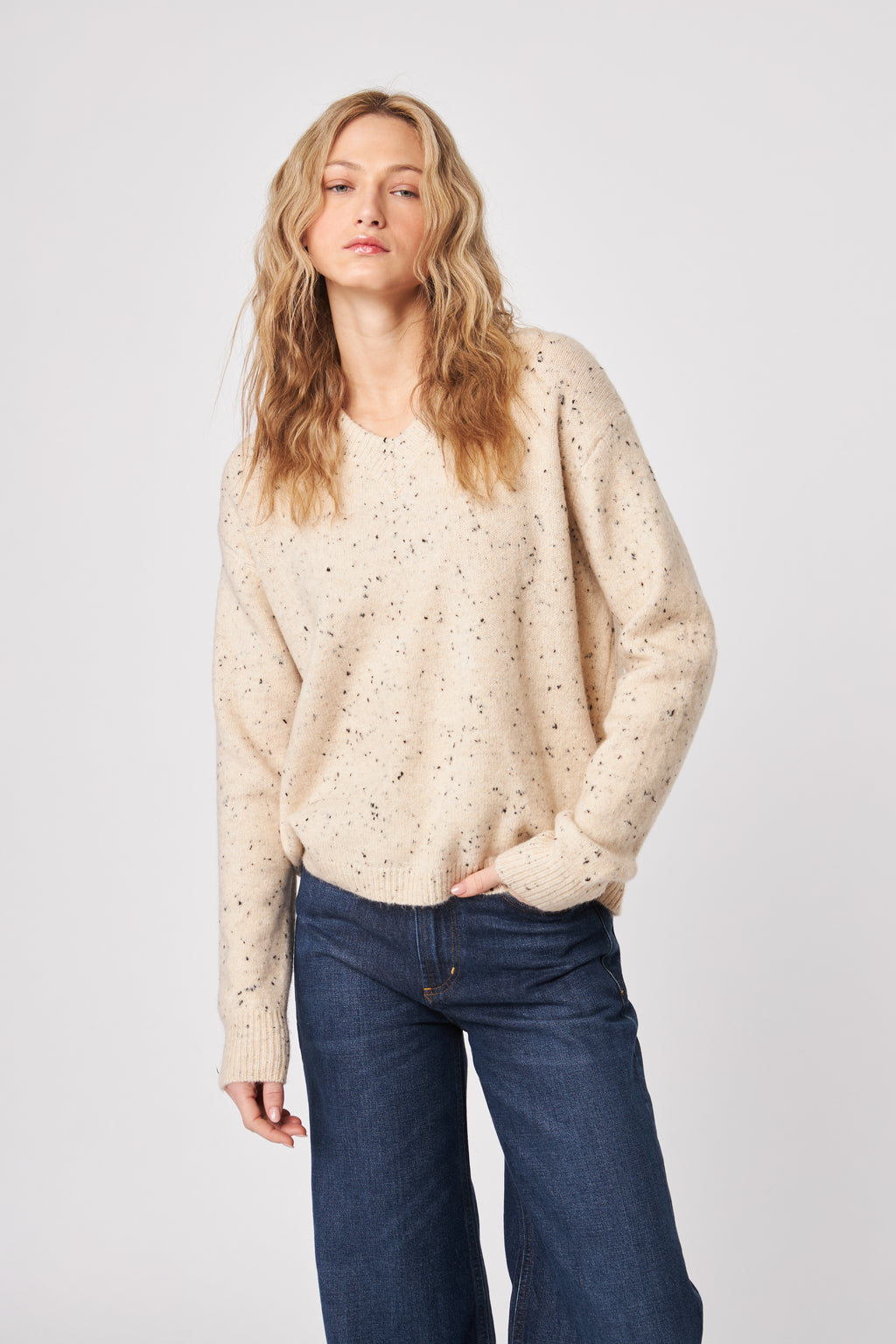 Charlie V- Neck Speckled Sweater