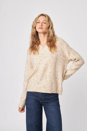 Charlie V- Neck Speckled Sweater